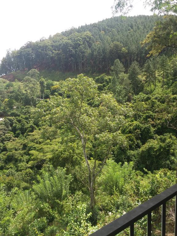 אלה Green Lushy Home Stay מראה חיצוני תמונה