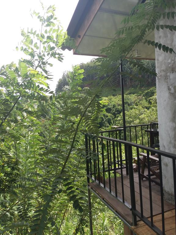 אלה Green Lushy Home Stay מראה חיצוני תמונה