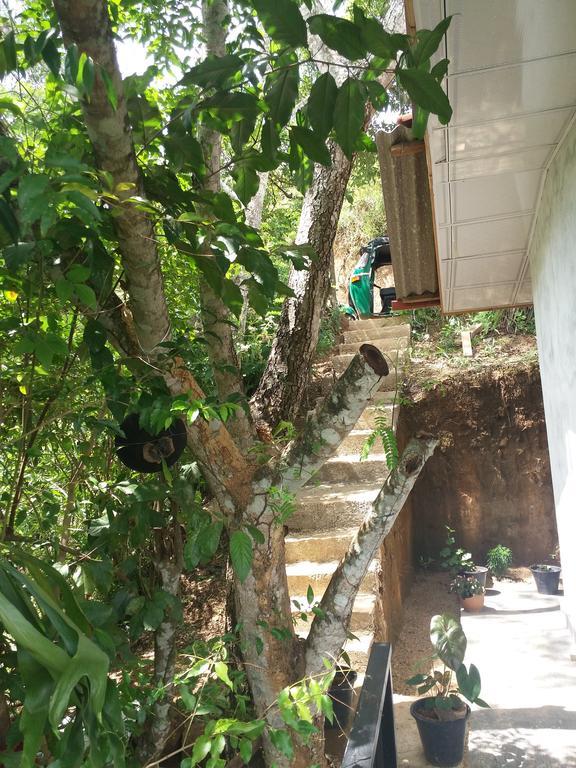אלה Green Lushy Home Stay מראה חיצוני תמונה