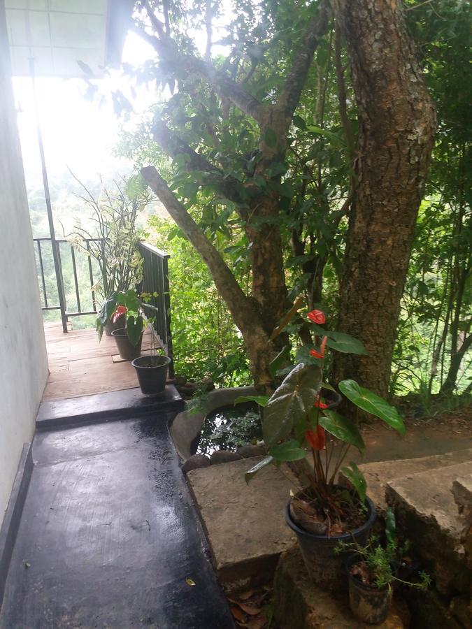 אלה Green Lushy Home Stay מראה חיצוני תמונה
